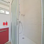 Radić 4*