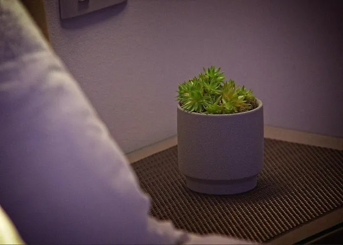 Bed and breakfast Radic